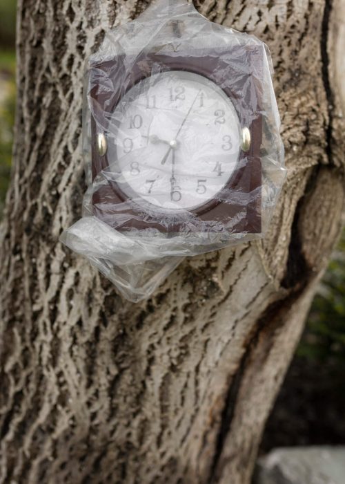 www.estimatetree.com emergency tree service (1)